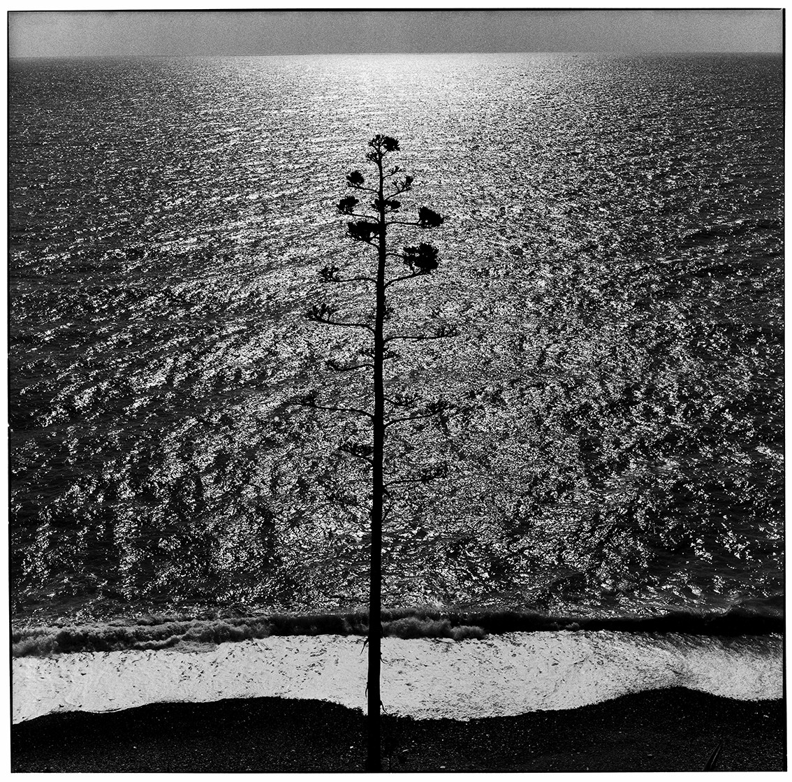 Convegno Internazionale di Studi per il centenario degli &quot;Ossi di seppia&quot; di Eugenio Montale